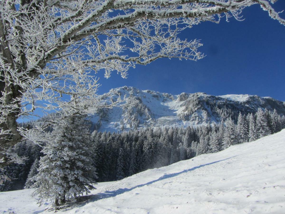 Almgasthaus Seebergalm Turnau Bagian luar foto