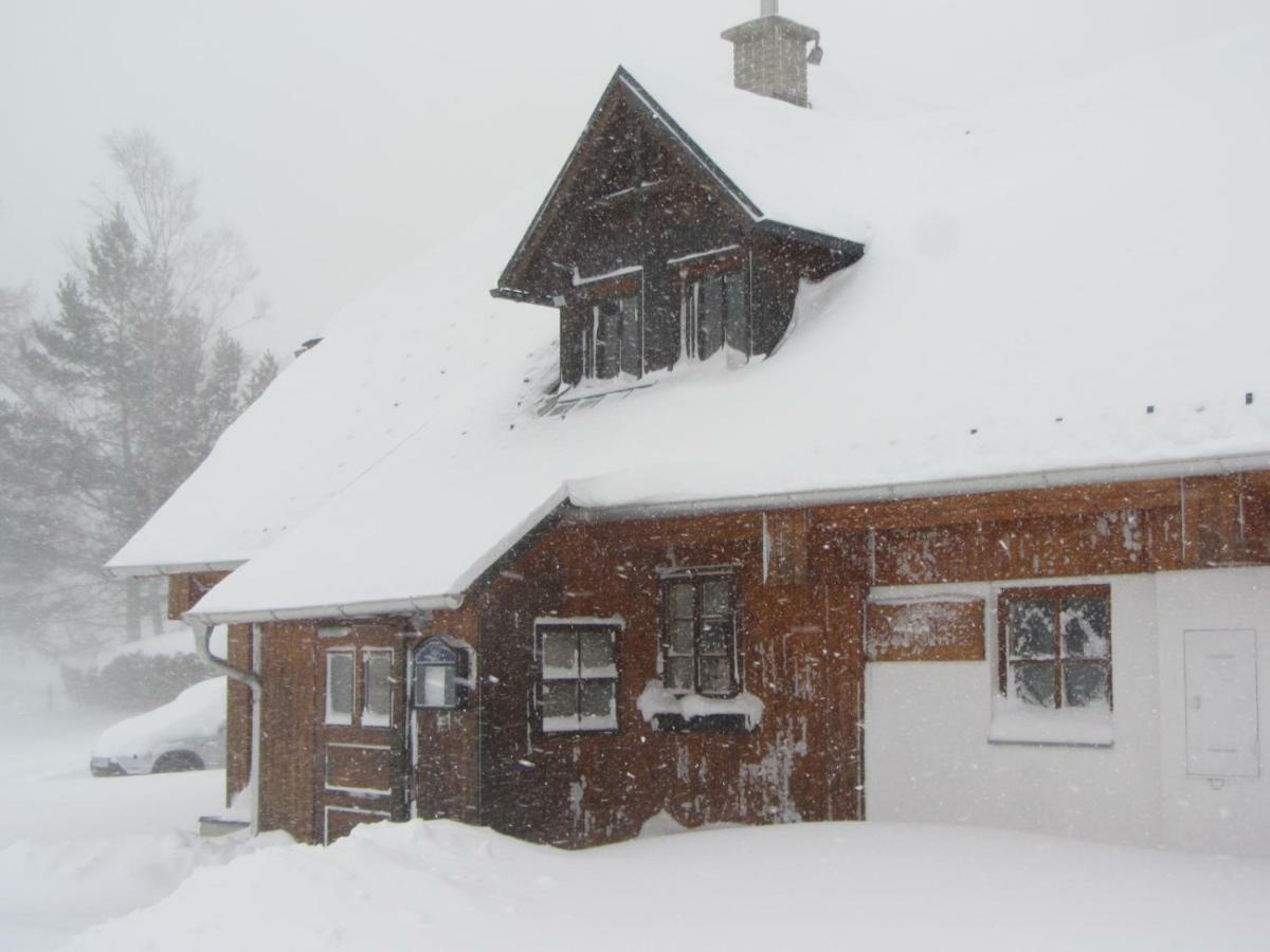 Almgasthaus Seebergalm Turnau Bagian luar foto
