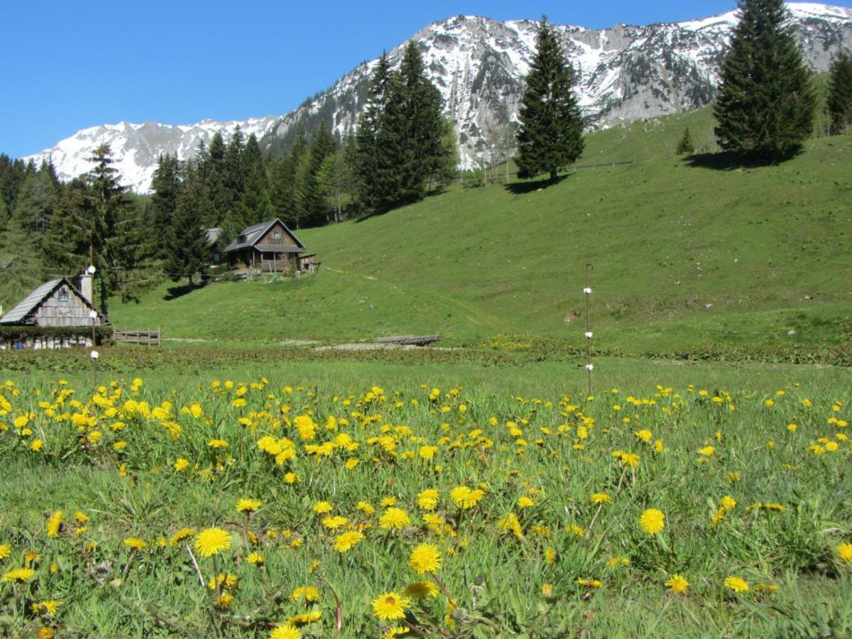 Almgasthaus Seebergalm Turnau Bagian luar foto